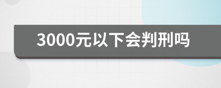 3000元以下会判刑吗