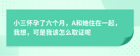 小三怀孕了六个月，A和她住在一起，我想，可是我该怎么取证呢