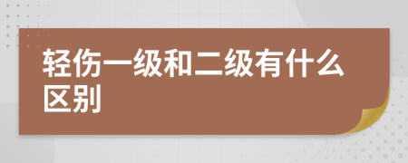 轻伤一级和二级有什么区别