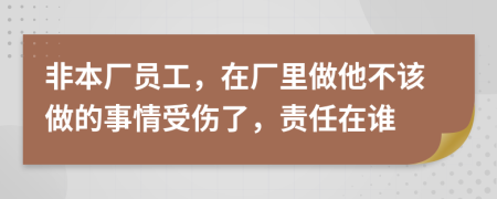 非本厂员工，在厂里做他不该做的事情受伤了，责任在谁