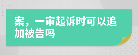 案，一审起诉时可以追加被告吗