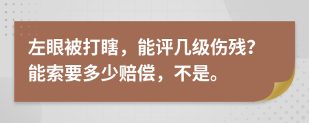 左眼被打瞎，能评几级伤残？能索要多少赔偿，不是。