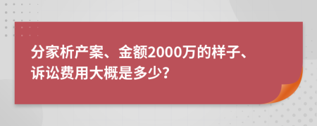 分家析产案、金额2000万的样子、诉讼费用大概是多少？