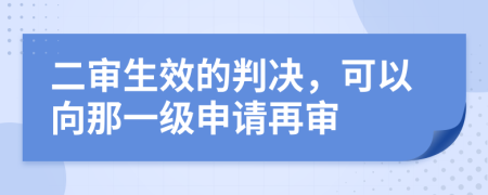 二审生效的判决，可以向那一级申请再审