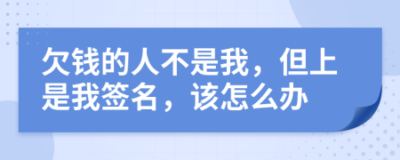 欠钱的人不是我，但上是我签名，该怎么办