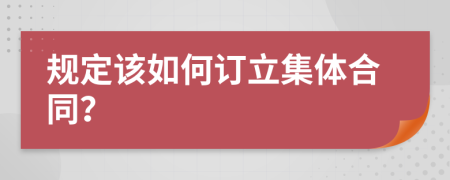 规定该如何订立集体合同？