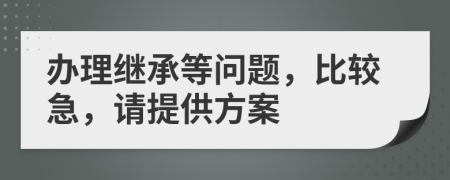 办理继承等问题，比较急，请提供方案