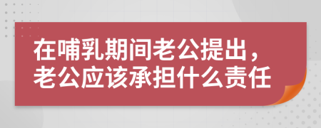在哺乳期间老公提出，老公应该承担什么责任