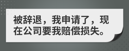 被辞退，我申请了，现在公司要我赔偿损失。