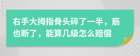 右手大拇指骨头碎了一半，筋也断了，能算几级怎么赔偿