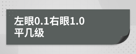 左眼0.1右眼1.0平几级