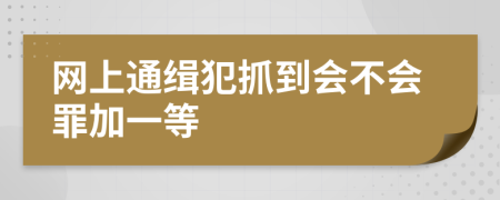 网上通缉犯抓到会不会罪加一等