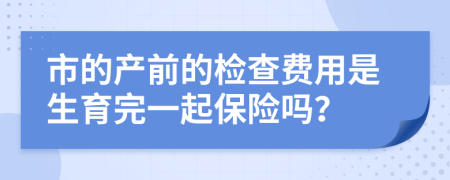 市的产前的检查费用是生育完一起保险吗？