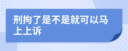 刑拘了是不是就可以马上上诉