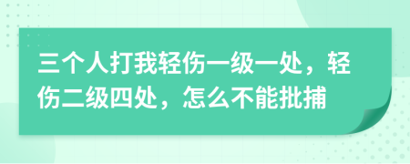 三个人打我轻伤一级一处，轻伤二级四处，怎么不能批捕