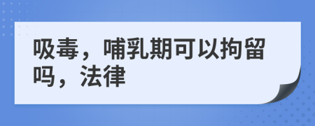 吸毒，哺乳期可以拘留吗，法律