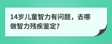 14岁儿童智力有问题，去哪做智力残疾鉴定？