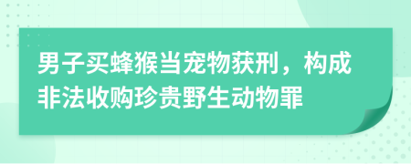 男子买蜂猴当宠物获刑，构成非法收购珍贵野生动物罪