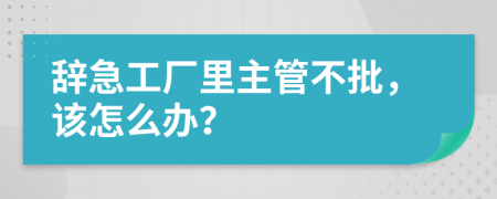 辞急工厂里主管不批，该怎么办？