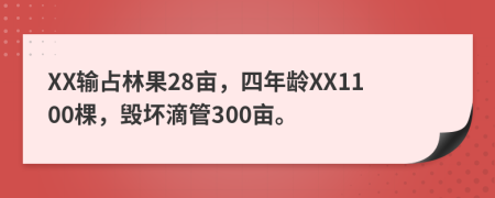 XX输占林果28亩，四年龄XX1100棵，毁坏滴管300亩。