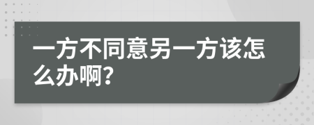 一方不同意另一方该怎么办啊？