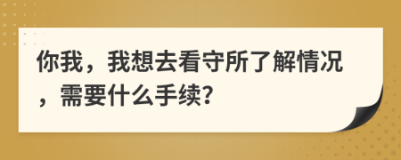 你我，我想去看守所了解情况，需要什么手续？