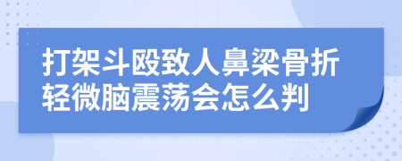 打架斗殴致人鼻梁骨折轻微脑震荡会怎么判