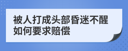 被人打成头部昏迷不醒如何要求赔偿