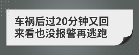 车祸后过20分钟又回来看也没报警再逃跑