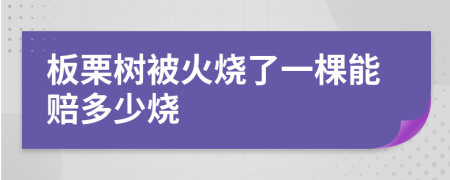 板栗树被火烧了一棵能赔多少烧