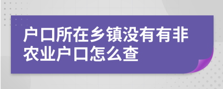 户口所在乡镇没有有非农业户口怎么查