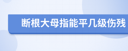 断根大母指能平几级伤残