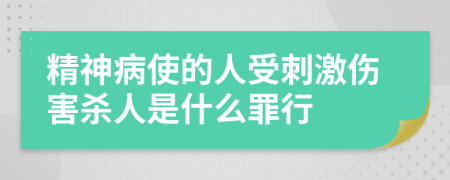 精神病使的人受刺激伤害杀人是什么罪行