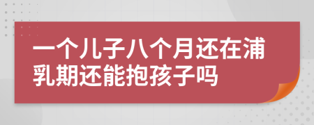 一个儿子八个月还在浦乳期还能抱孩子吗