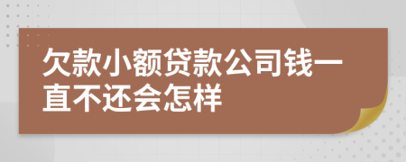 欠款小额贷款公司钱一直不还会怎样