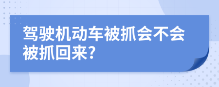 驾驶机动车被抓会不会被抓回来?