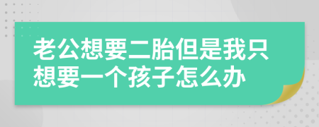 老公想要二胎但是我只想要一个孩子怎么办