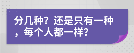 分几种？还是只有一种，每个人都一样？