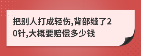 把别人打成轻伤,背部缝了20针,大概要赔偿多少钱