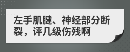 左手肌腱、神经部分断裂，评几级伤残啊