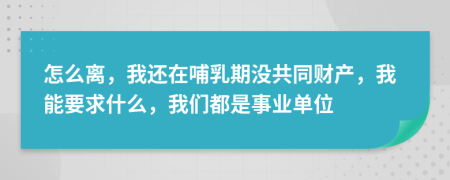 怎么离，我还在哺乳期没共同财产，我能要求什么，我们都是事业单位