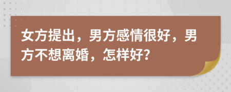 女方提出，男方感情很好，男方不想离婚，怎样好？