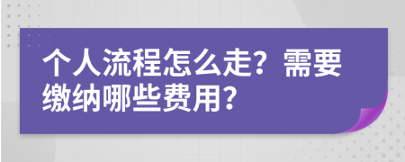 个人流程怎么走？需要缴纳哪些费用？