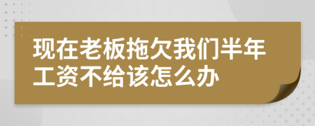 现在老板拖欠我们半年工资不给该怎么办