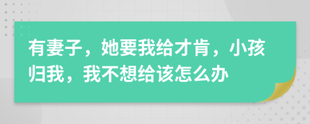 有妻子，她要我给才肯，小孩归我，我不想给该怎么办