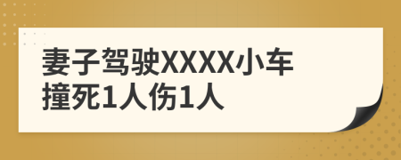 妻子驾驶XXXX小车撞死1人伤1人