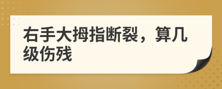 右手大拇指断裂，算几级伤残