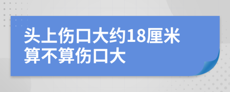 头上伤口大约18厘米算不算伤口大