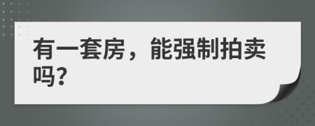 有一套房，能强制拍卖吗？