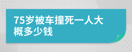 75岁被车撞死一人大概多少钱